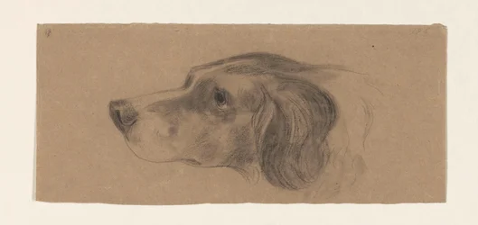 Head of a Dog, Facing Left