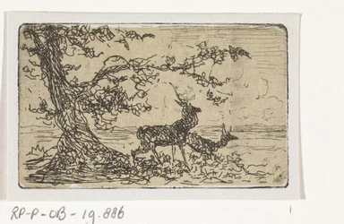 Two Deer Under a Tree