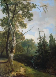 Forest View near Wolfheze