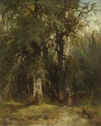 View in the Woods