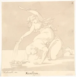 Xantippe