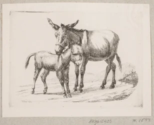 A Donkey with Its Foal