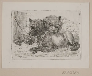 Two Lying Dogs