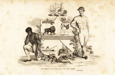 Coat of Arms of Tom Cribb, English Bare-Knuckle Boxer 1781-1848