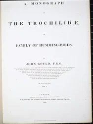 Frontispiece