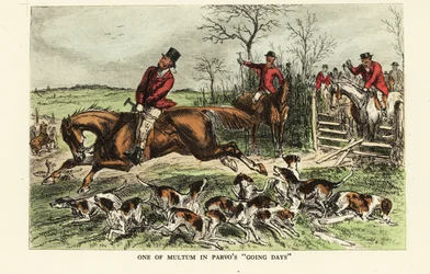 A horse bolts through a gate during a foxhunt