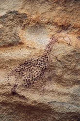 Giraffe, Cave Painting, Pastoral Period (4000-2500 BC), Tassili n