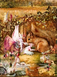 The Wounded Squirrel