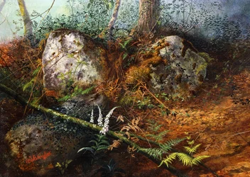 Newlay Wood