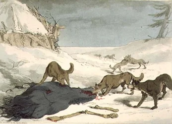 The Wolf Hunt, plate 74 from Volume III of 