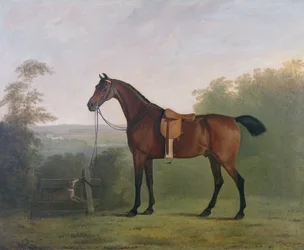 A Bay Hunter in a Landscape