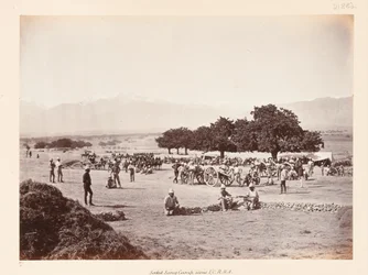 Safed Sang camp