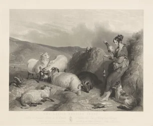 The Lassie Herding Sheep