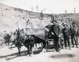 Gold Fever in South Dakota