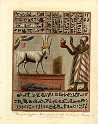Part of an Egyptian Manuscript Found in the Swathing of a Mummy