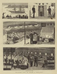 Military Life on Board a Troopship