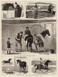 Sketches at the Islington Horse Show