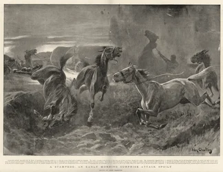 A Stampede, an Early Morning Surprise Attack spoilt