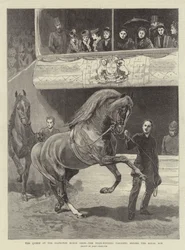 The Queen at the Islington Horse Show, the Prize-Winners parading before the Royal Box