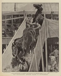 War Preparations, Shipping Horses at Southampton