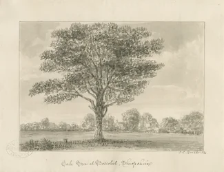 Boscobel - The Royal Oak