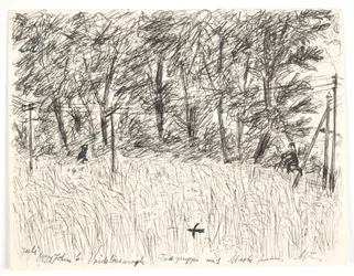 Vridsløsemagle. Group of Trees with Field in Front. Evening