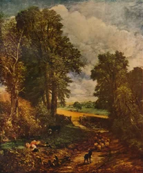 The Cornfield
