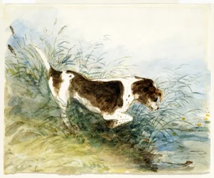 A Dog Watching a Rat in the Water - Dedham, Painted 1831