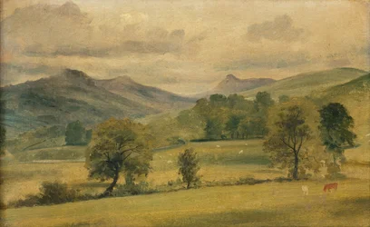 A View in the Lake District