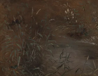 Rushes by a Pool