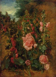 Study of Hollyhocks, c.1826