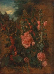 Study of Hollyhocks
