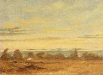 Summer - Evening Landscape