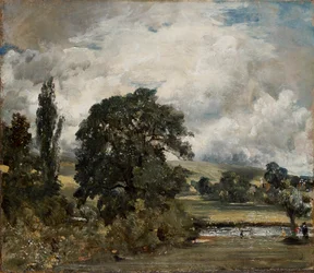 Water Meadows near Salisbury