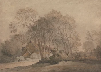 A House Among Trees