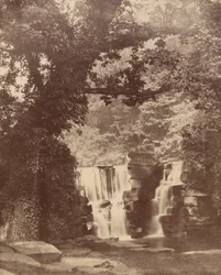 The Upper Falls, Penllergare Valley Woods, c. 1852