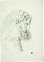 Bust of Bearded Man