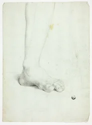 Left Leg of Standing Figure
