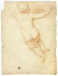 Putto from Back