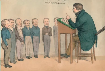 The Irish Tutor