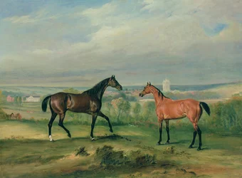Count Bathyanys Favourite Hunters at Melton Mowbray