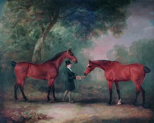 Hunters being fed by a Groom in a Woodland Setting