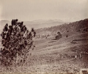 Landscape with Tree and Three Men, India