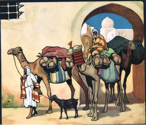 Camel Train, illustration from 