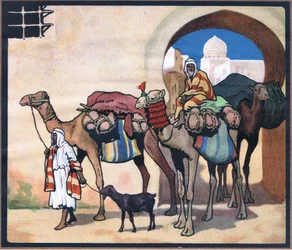 Camel Train