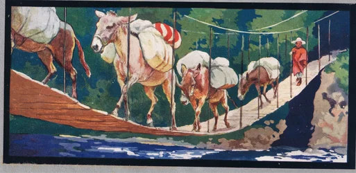 Donkeys Carry Supplies Across a Rope Bridge, illustration from 