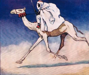Riding a camel, illustration from 
