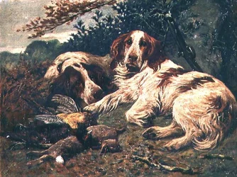 A Pair of Liver and White Clumber Spaniels by the Day