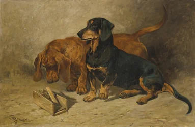Dachshunds, 1993