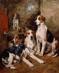 In the Kennel
